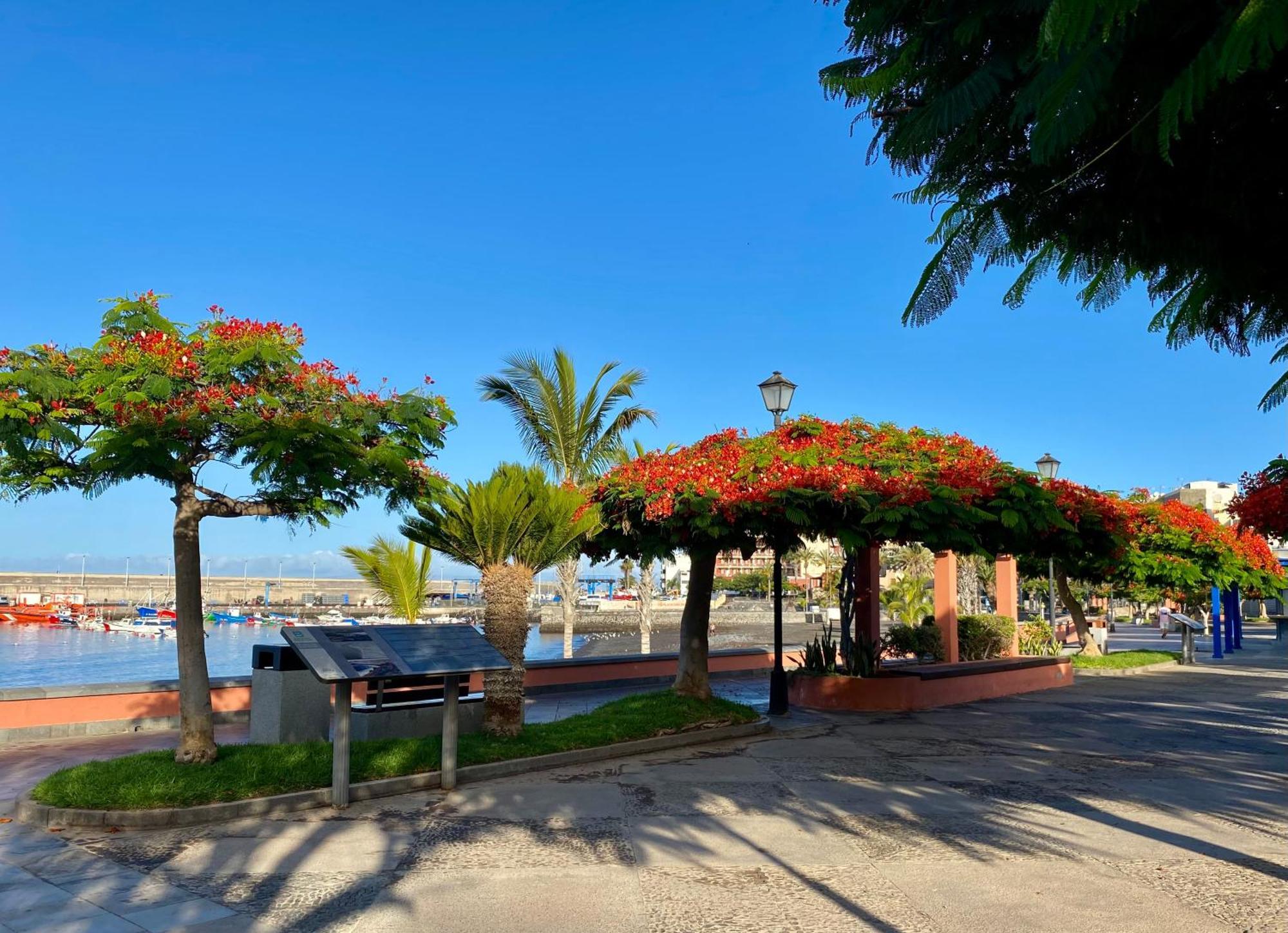 Casa Antonio - Apartamento Luna Playa de San Juan (Tenerife) Exterior foto